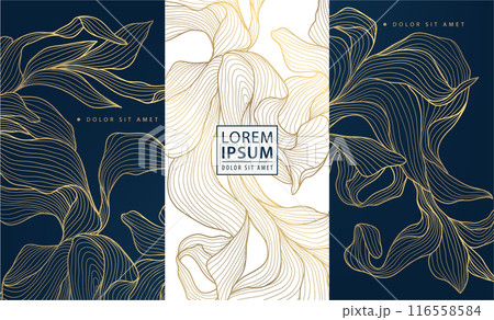 Vector set of gold and black floral cards, wine labels, box package, beauty background. Jewelry, gift line leaves illustrations, perfume, cosmetic banners 116558584