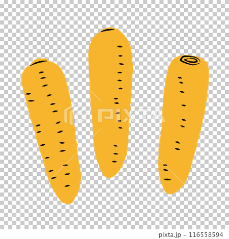 Simple carrot illustration | Vector 116558594