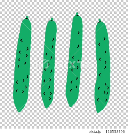 Simple cucumber illustration | Vector 116558596