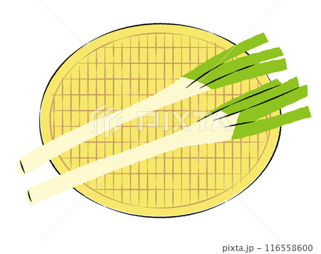 ザルに入った長ネギのイラスト｜ベクター 116558600