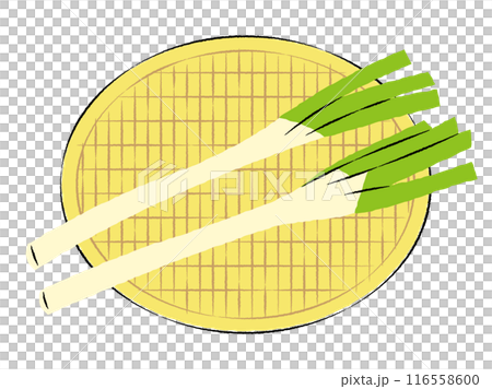ザルに入った長ネギのイラスト｜ベクター 116558600