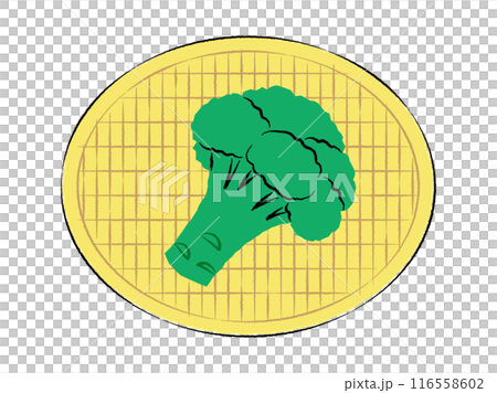 ザルに入ったブロッコリーのイラスト｜ベクター 116558602