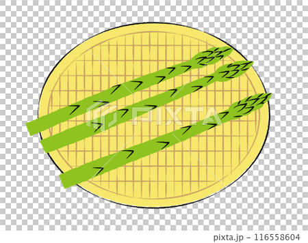 Illustration of asparagus in a colander | Vector Illustration of asparagus in a colander | Vector 116558604