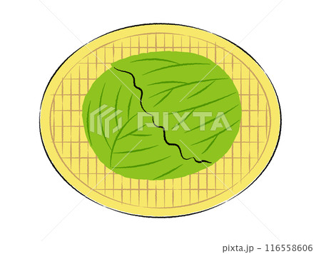ザルに入ったキャベツのイラスト｜ベクター 116558606