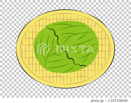 ザルに入ったキャベツのイラスト｜ベクター 116558606