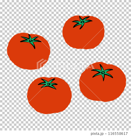 Simple tomato illustration | Vector Simple tomato illustration | Vector 116558617