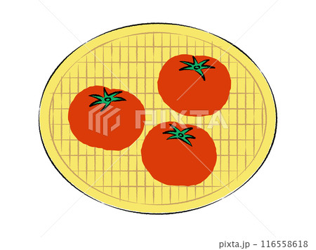 ザルに入ったトマトのイラスト｜ベクター 116558618