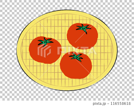 ザルに入ったトマトのイラスト｜ベクター 116558618