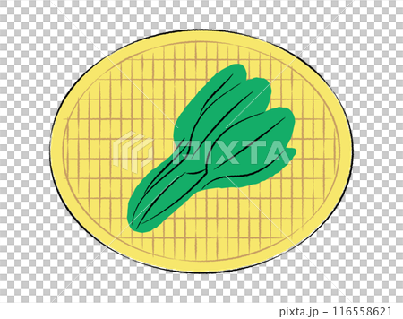 ザルに入った小松菜のイラスト｜ベクター 116558621