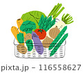 カゴに入った野菜セットのイラスト|ベクター カゴに入った野菜セットのイラスト|ベクター 116558627