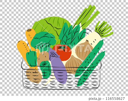 Illustration of a set of vegetables in a basket | Vector 116558627