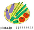 ザルに入った夏野菜のイラスト|ベクター ザルに入った夏野菜のイラスト|ベクター 116558628