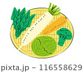 ザルに入った冬野菜のイラスト|ベクター ザルに入った冬野菜のイラスト|ベクター 116558629