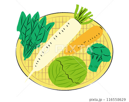 ザルに入った冬野菜のイラスト|ベクター ザルに入った冬野菜のイラスト|ベクター 116558629