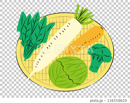 ザルに入った冬野菜のイラスト|ベクター ザルに入った冬野菜のイラスト|ベクター 116558629