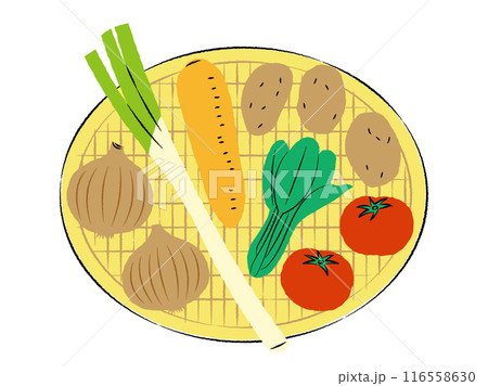 ザルに入ったいろいろな野菜のイラスト｜ベクター 116558630