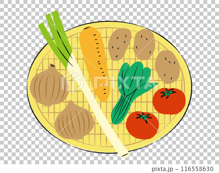ザルに入ったいろいろな野菜のイラスト｜ベクター 116558630