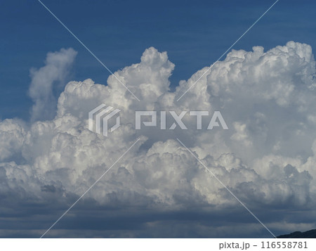 夏の空に立ち昇る入道雲 116558781