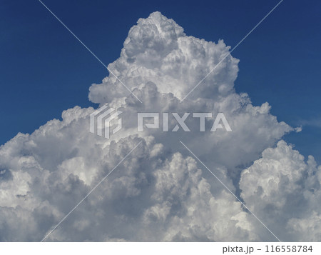 夏の空に立ち昇る入道雲 116558784