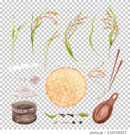Rice crops and grains collection. Hand drawn watercolor illustration isolated from background. Traditional agricultural set with rice stalk, chopsticks and spices. Sack pouch with drawstring and spoon 116558837