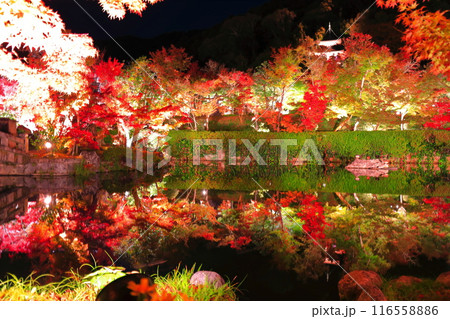 【京都府】シンメトリーな永観堂の多宝塔と紅葉のライトアップ（夜間特別拝観） 116558886