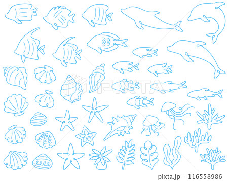 海の生き物の水色の線画イラストセット 116558986