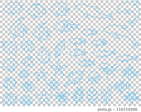 Set of light blue line drawings of sea creatures Set of light blue line drawings of sea creatures 116558986