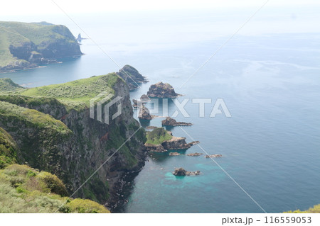 展望台から見た断崖絶壁 116559053