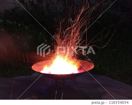 燃え上がる炎 116559054