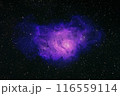 干潟星雲 116559114