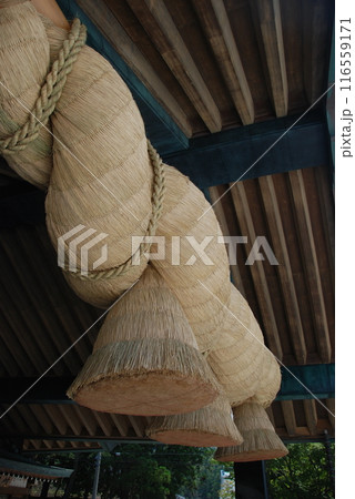 しめ縄（出雲大社･神楽殿／島根県出雲市大社町） 116559171