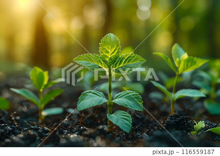 Green ESG concept with symbol of sustainable energy. 116559187