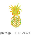 金色パイナップルのイラスト 116559324