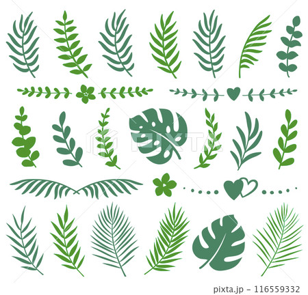 Summer tropical set palm eucalyptus branches and leaves 116559332