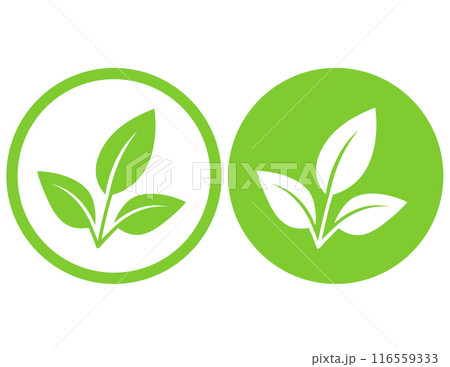 Green brances leaves icons eco natural sign 116559333