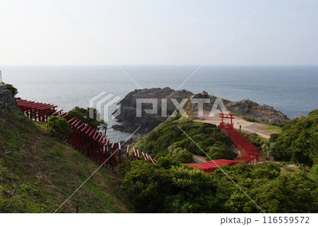 元乃隅神社の鳥居 116559572