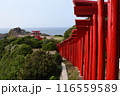 元乃隅神社の鳥居 元乃隅神社の鳥居 116559589