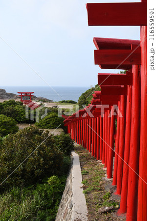 元乃隅神社の鳥居 116559591