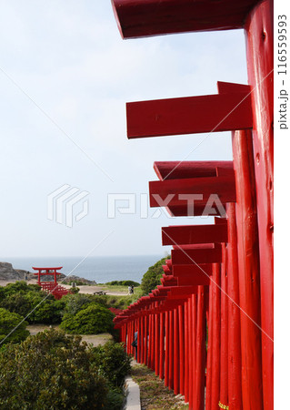 元乃隅神社の鳥居 116559593