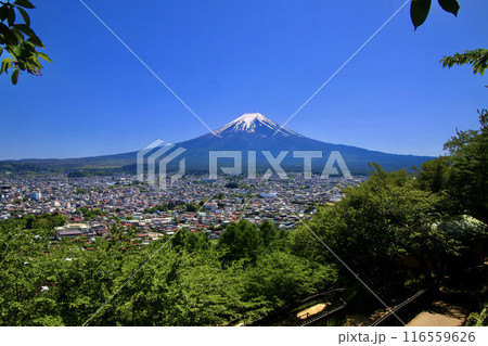 新倉山浅間公園からの富士山（山梨県・富士吉田市） 116559626