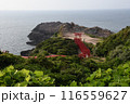 元乃隅神社の鳥居 元乃隅神社の鳥居 116559627