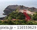 元乃隅神社の鳥居 元乃隅神社の鳥居 116559629