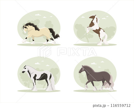 Set with horses of the Irish cob breed Set with horses of the Irish cob breed 116559712