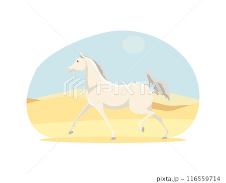Beautiful arabian horse in the desert 116559714