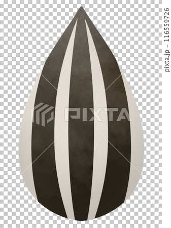 Big sunflower seed illustration Big sunflower seed illustration 116559726