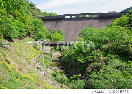 兵庫県淡路島　大日川ダム 116559748