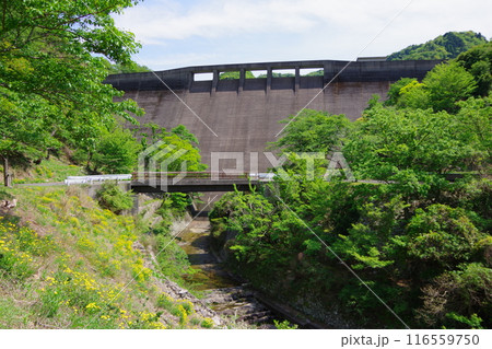 兵庫県淡路島　大日川ダム 116559750