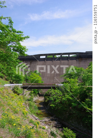 兵庫県淡路島　大日川ダム 116559751
