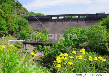 兵庫県淡路島 大日川ダム 兵庫県淡路島 大日川ダム 116559752