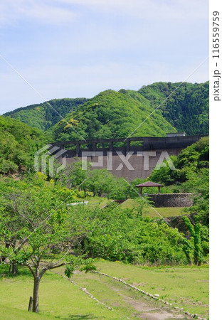 兵庫県淡路島　大日川ダム 116559759
